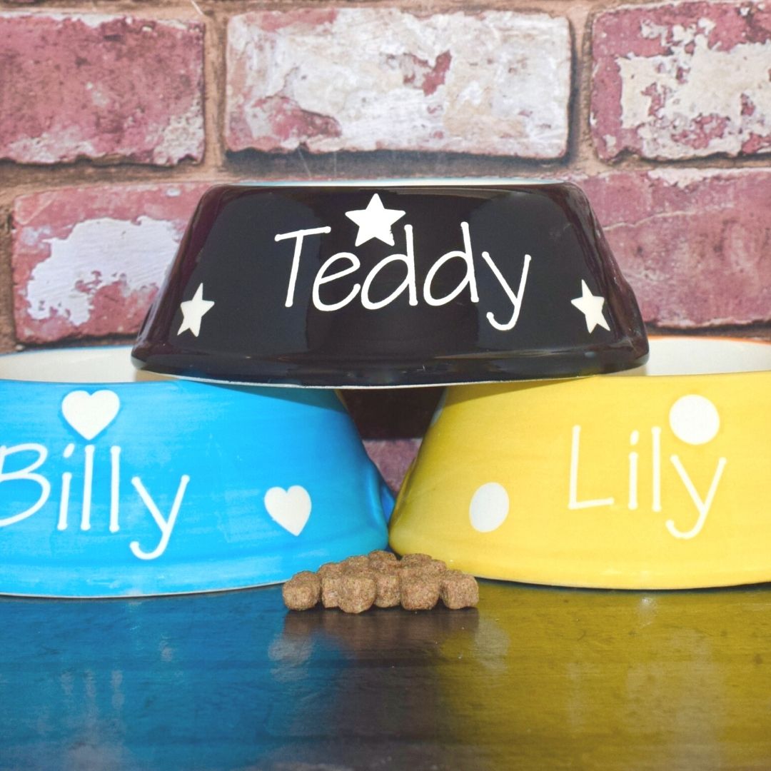 Personalised Ceramic Slanted Polka Dots Cat Bowls 4