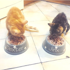 Personalised Ceramic Slanted Polka Dots Cat Bowls