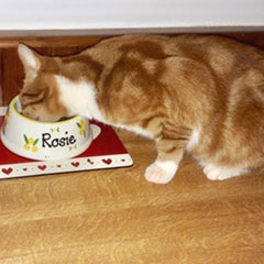 Personalised Ceramic Slanted Roses Cat Bowls 2