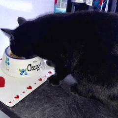 Personalised Ceramic Slanted Roses Cat Bowls 3