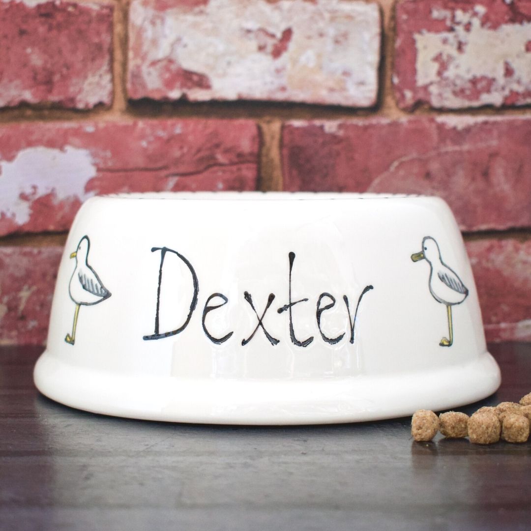 Personalised Ceramic Slanted Seagull Design Cat Bowl