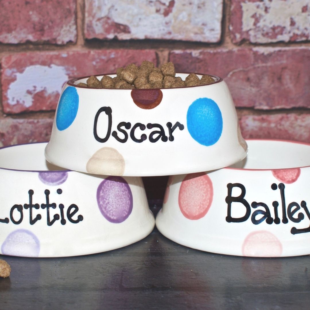 Personalised Ceramic Slanted Spotty Cat Bowls 2