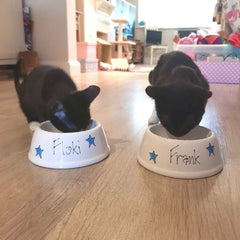 Personalised Ceramic Slanted Whimsical Cat Bowls 4