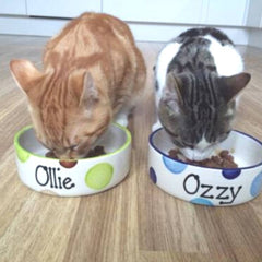 Personalised Ceramic Spotty Cat Bowls