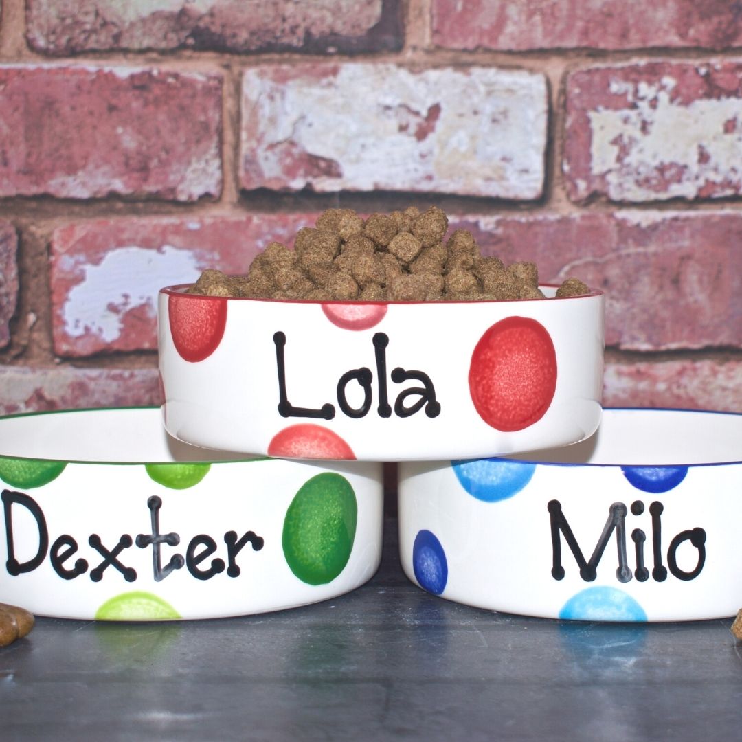 Personalised Ceramic Spotty Cat Bowls 4