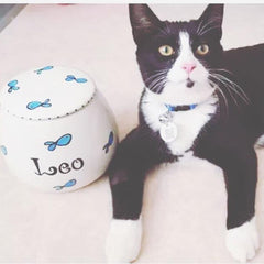 Personalised Ceramic Whimsical Cat Treat Jars 2
