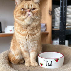 Personalised Poppy Design Cat Bowl 3