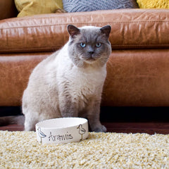 Personalised Seagull Design Cat Bowl 5