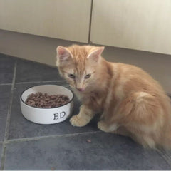 Personalised Stamp Font Design Cat Bowl 4