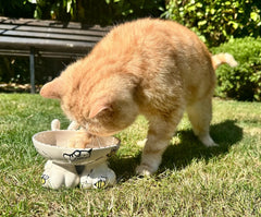 Personalised Cat Legs Bowl - Bee Design