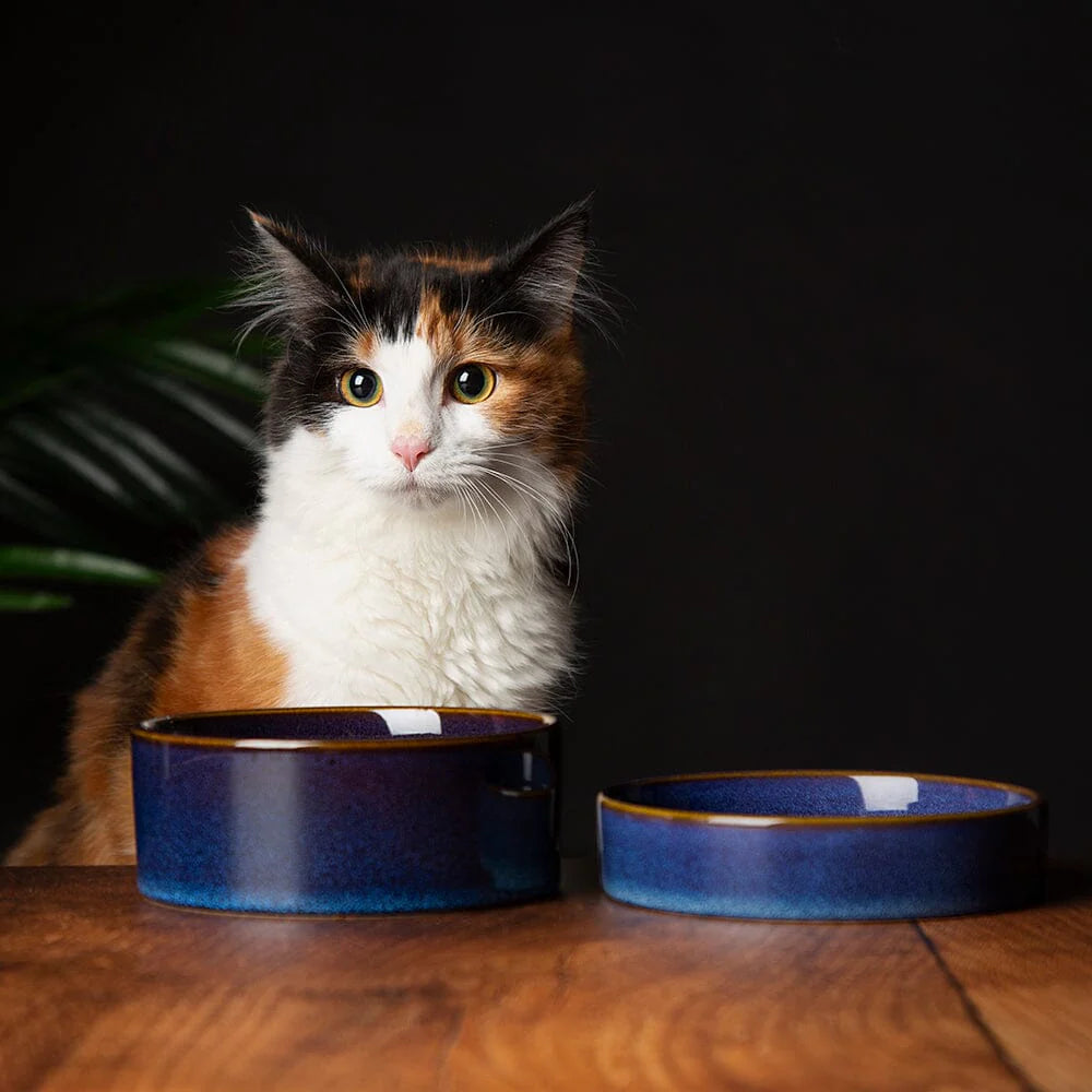 Reactive Glaze 2 Piece Cat Food Bowl & Saucer Set - Midnight Blue