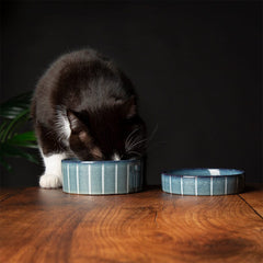 Reactive Glaze 2 Piece Cat Food Bowl & Saucer Set - Pinstripe Grey