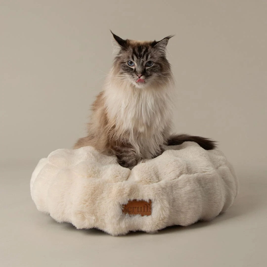 Festive Fur Cat Bed - Cream