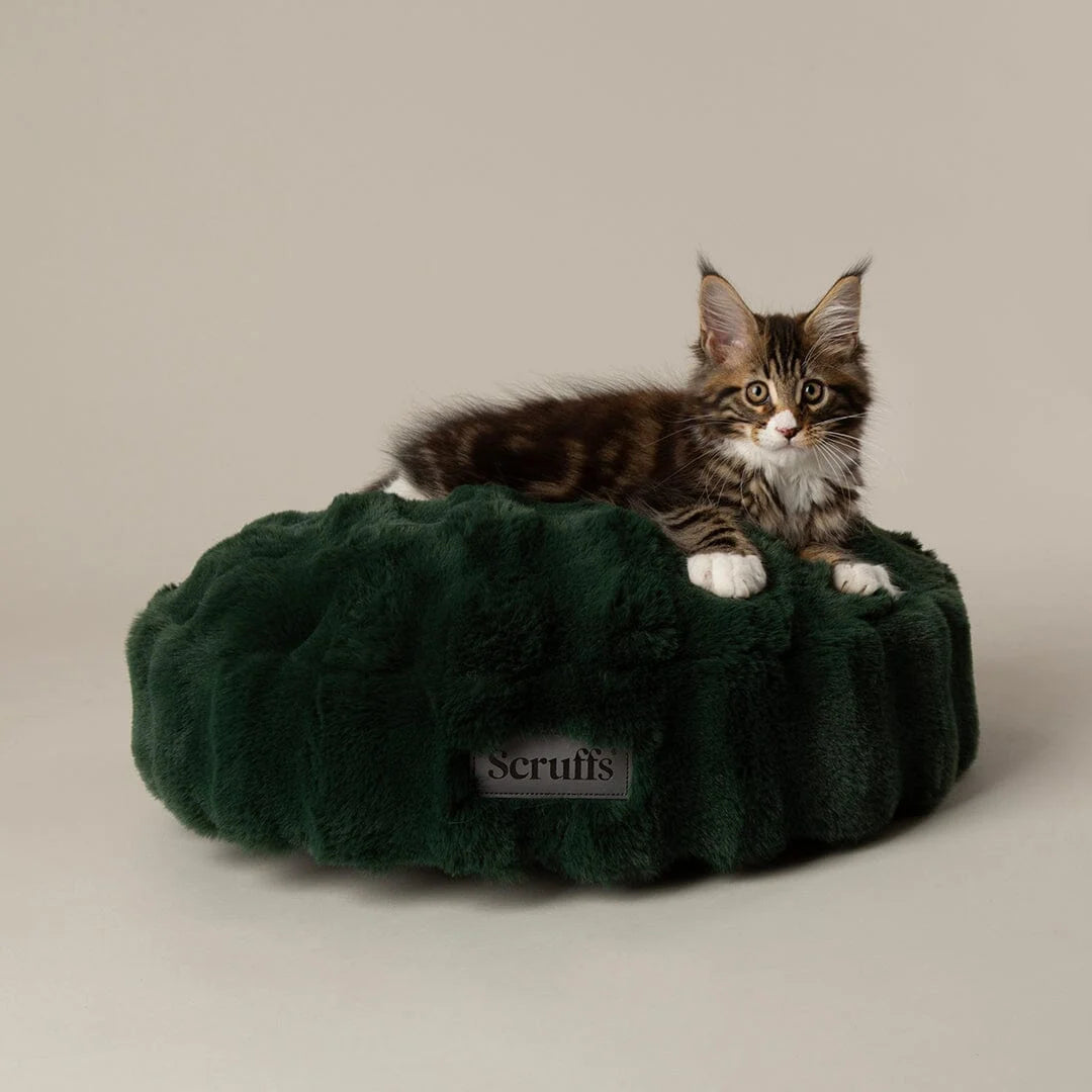 Festive Fur Cat Bed - Green