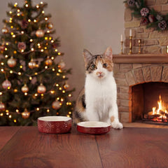 Scruffs Snow Bowl Food & Saucer Gift Set - Burgundy