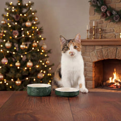 Scruffs Snow Bowl Food & Saucer Gift Set - Green