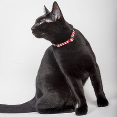 Red Gingham Cat Collar