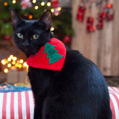 Christmas Tree Cat Bandana