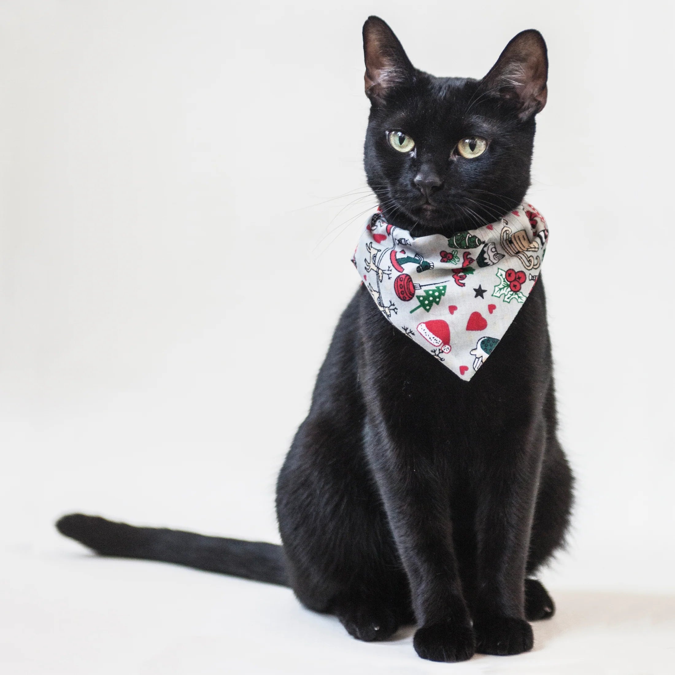 Santa Print Cat Bandana