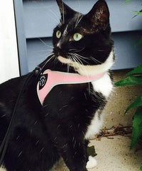 Tre Ponti Easy Fit Liberta Pink Cat Harness with No Escape Adjustable Closure