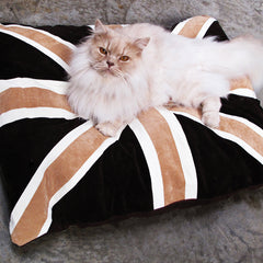 Union Jack Cat Nappa Tan & Brown by Creature Clothes 2