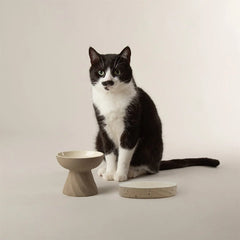 Zen 2 Piece Raised Cat Feeder & Saucer Set - Brown