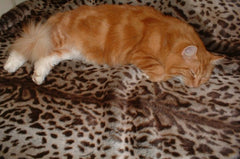 Luxury Ocelot Faux Fur Cat Blanket