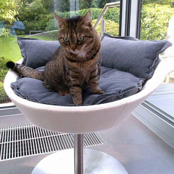 Luxury Cosmo Faux Leather Cat Bed