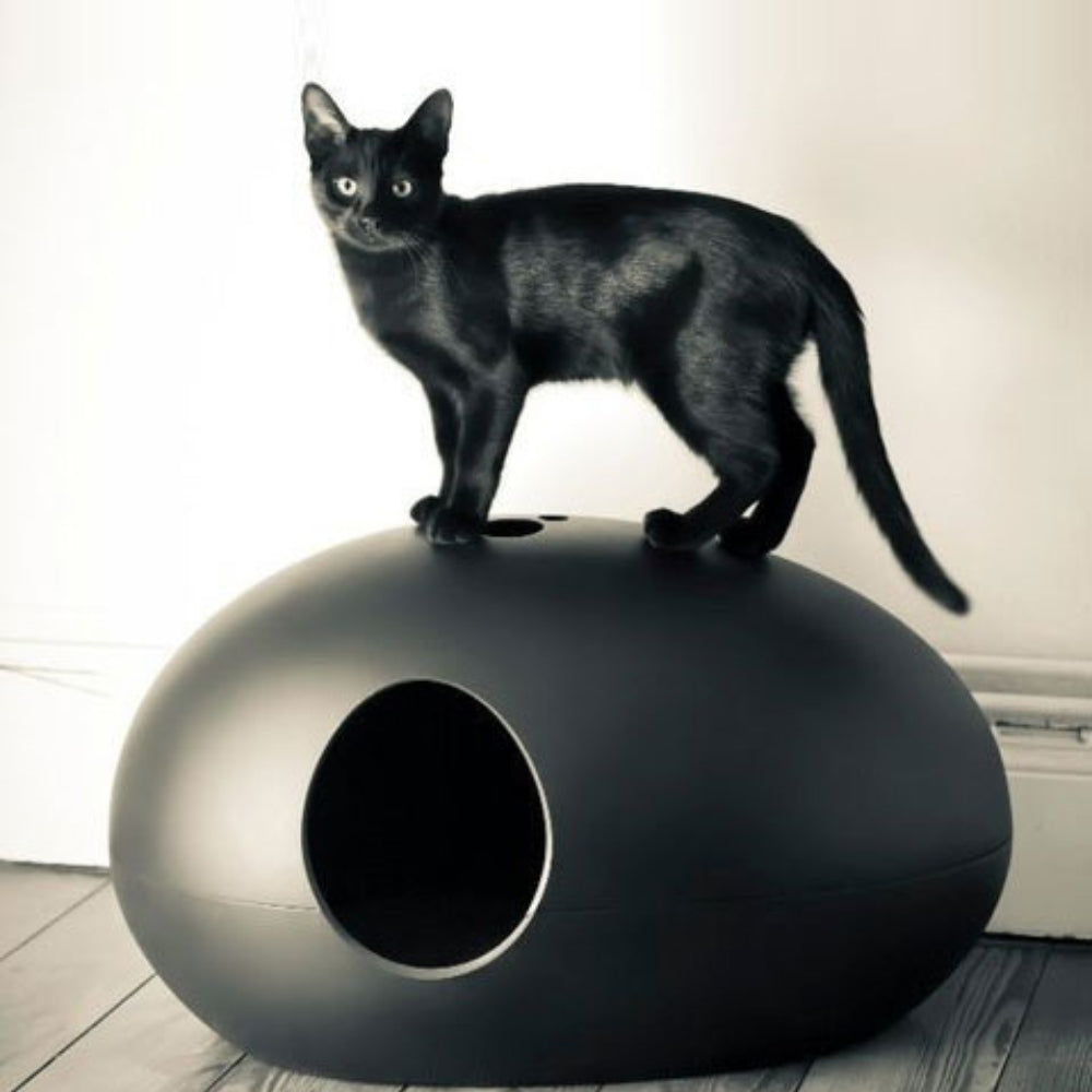 Luxury Black Cat Litter Box