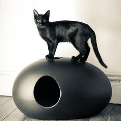 Luxury Black Cat Litter Box