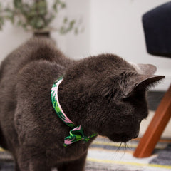 Combs Paisley Cat Collar