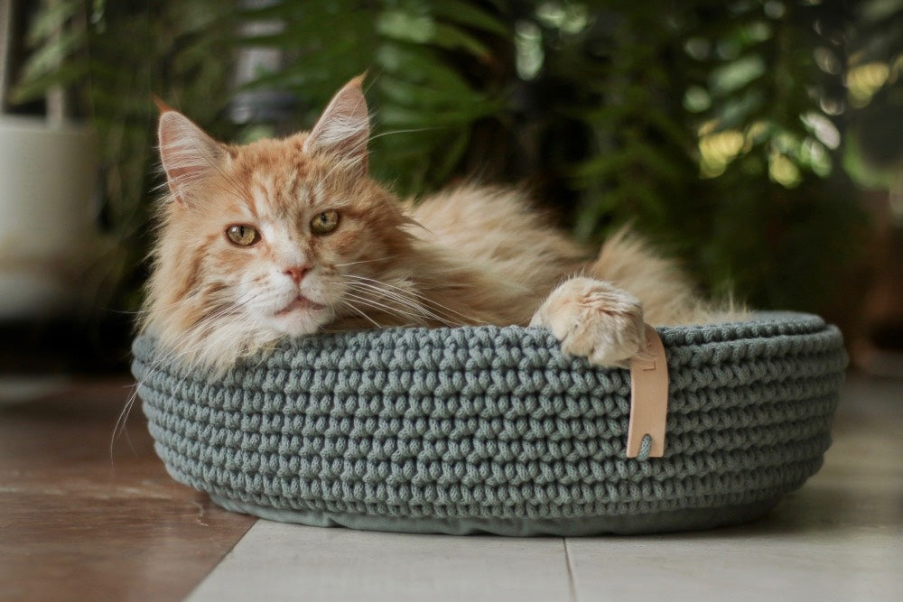 Coco Cat Bed Green by Labbvenn