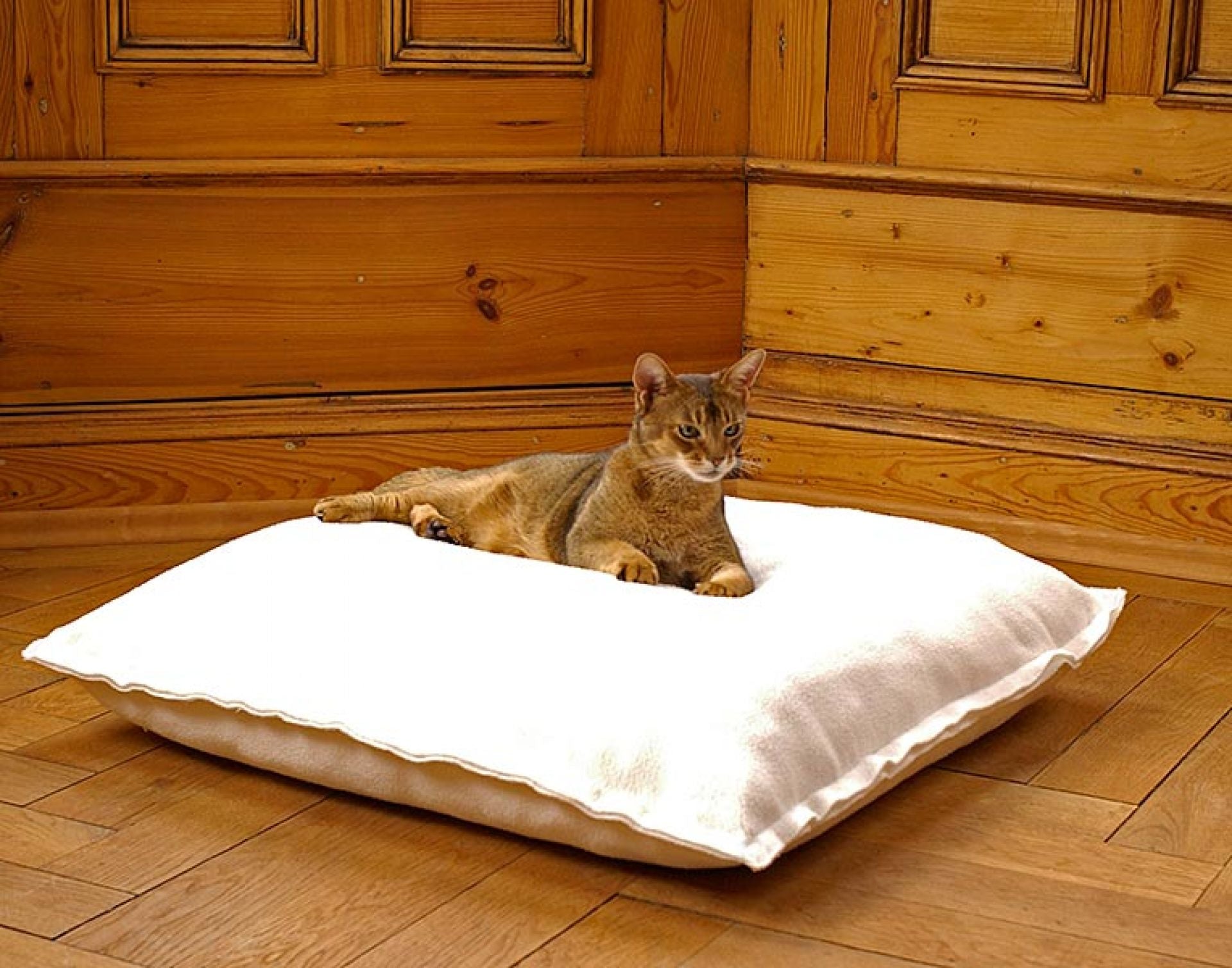 Luxury Divan Uno Cat Bed
