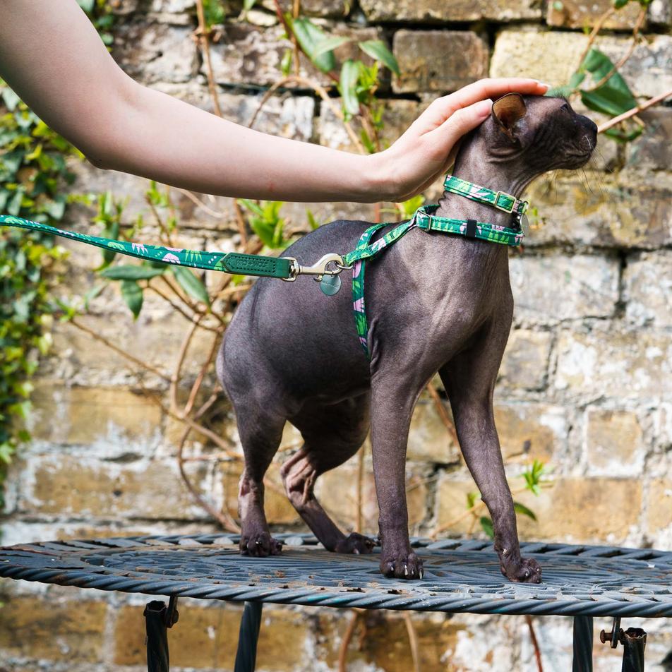 Combs Vegan Breakaway Cat Collar