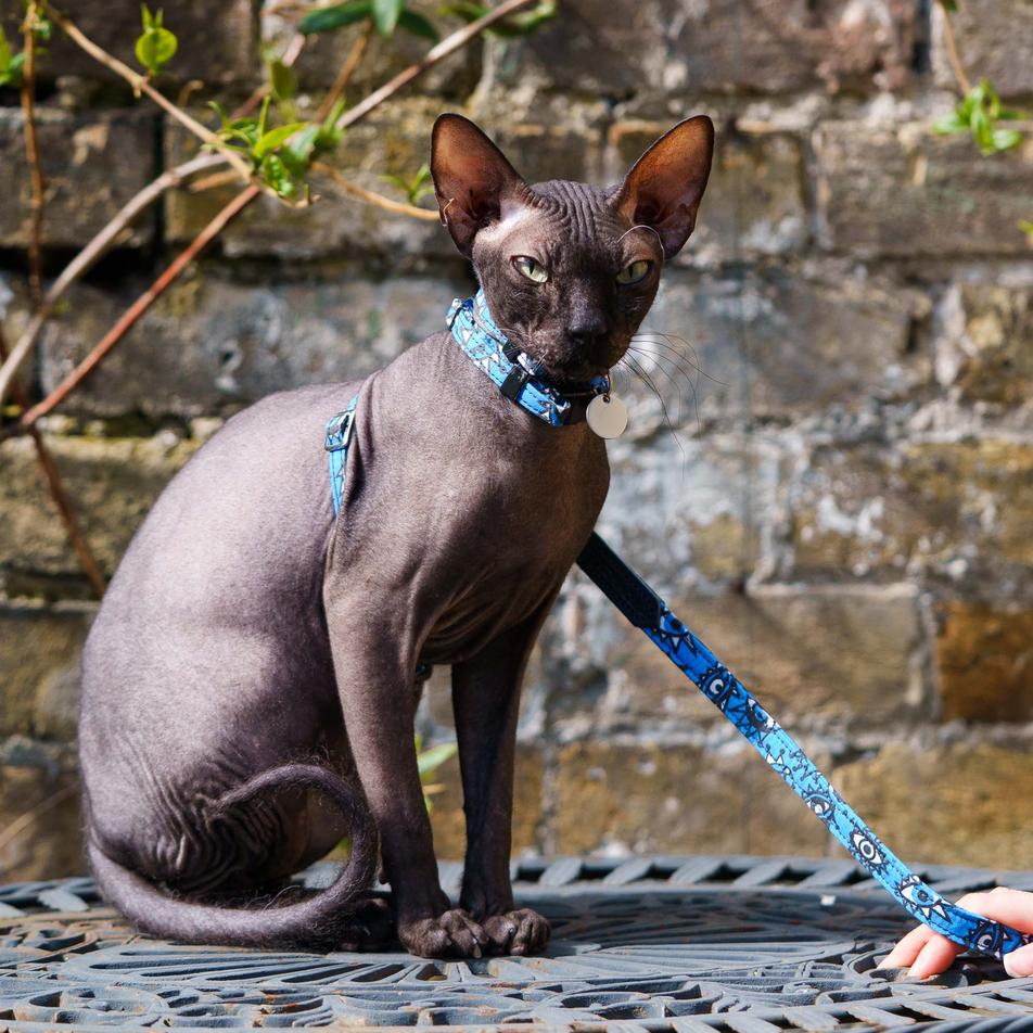 Eyes Vegan Cat Harness