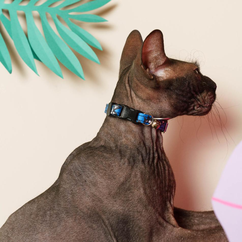 Eyes Vegan Breakaway Cat Collar