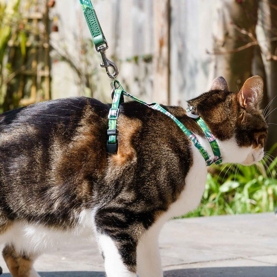 Combs Vegan Cat Harness