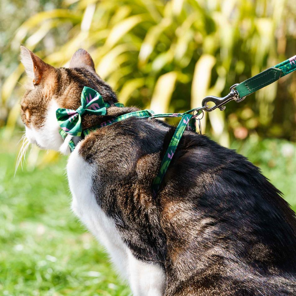 Combs Vegan Cat Harness