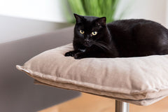 Luxury Poet Cat Bed Stand