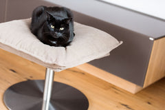 Luxury Poet Cat Bed Stand