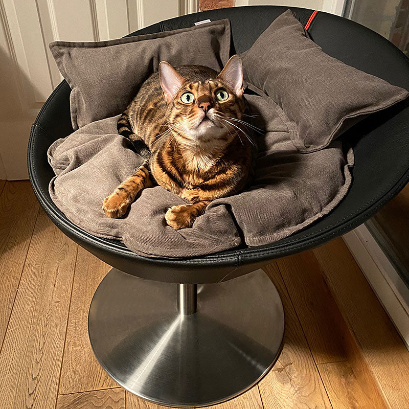 Luxury Cosmo Faux Leather Cat Bed