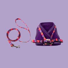 Violet & Dunes Cat Harness and Lead Set