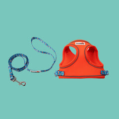 Tangerine & Reef Cat Harness and Lead Set