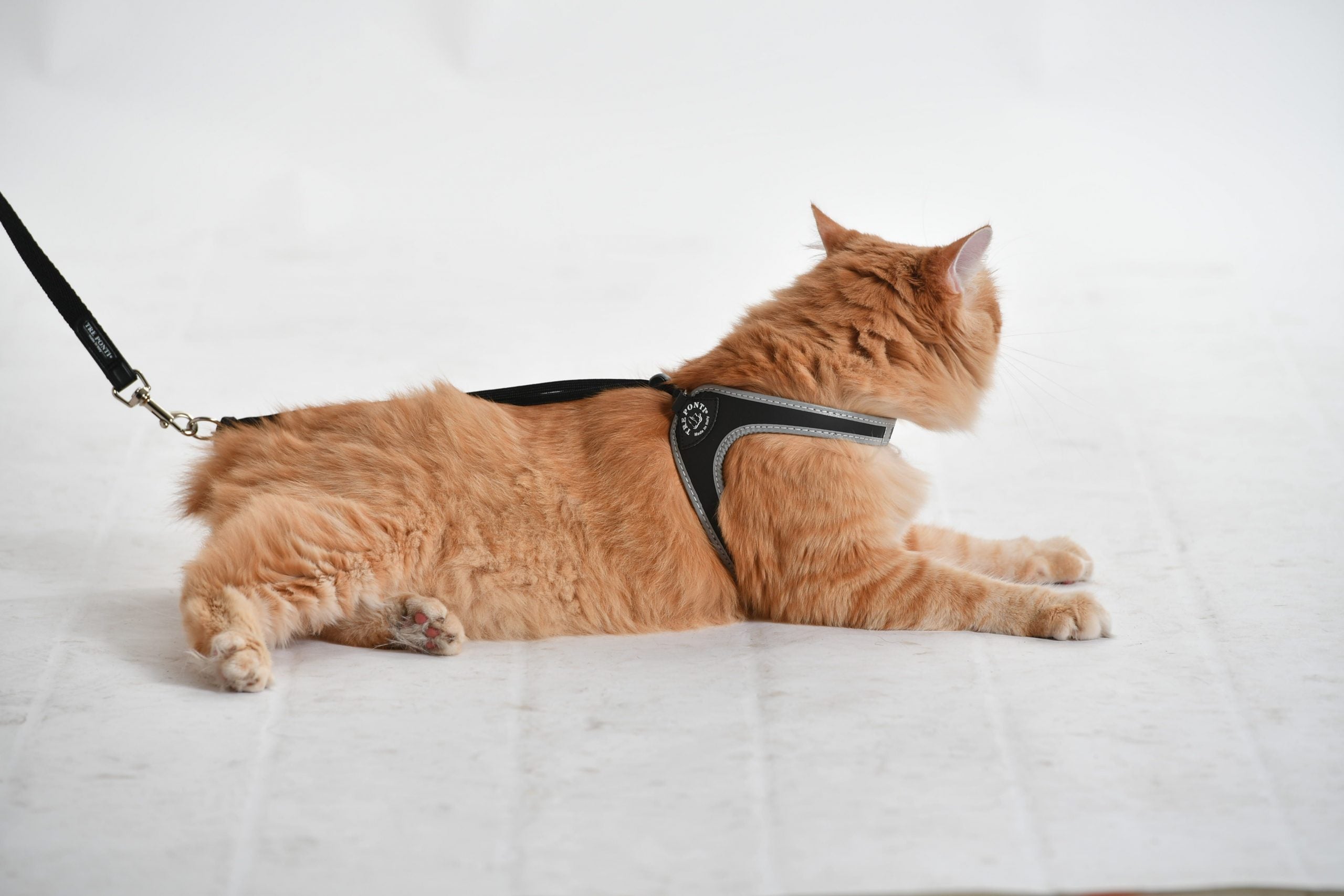Tre Ponti Easy Fit Liberta Black Cat Harness with No Escape Adjustable Closure