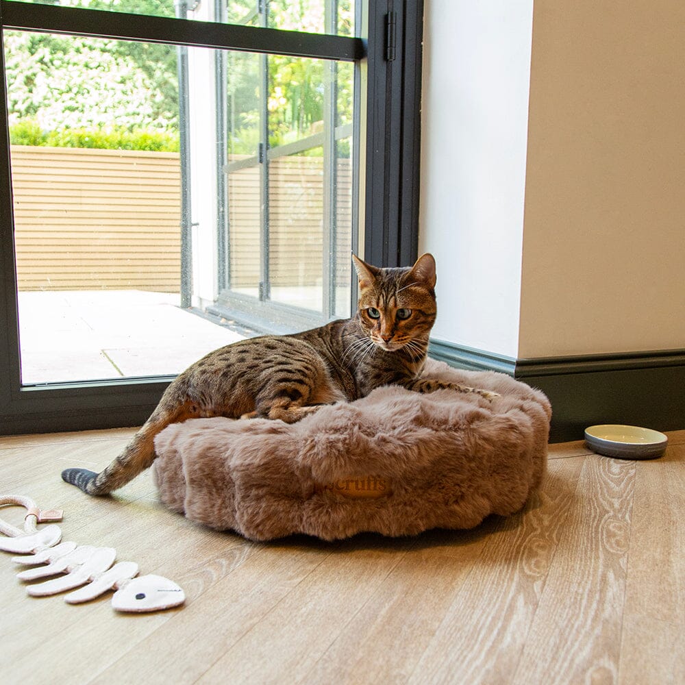Alpine Cat Bed - Taupe