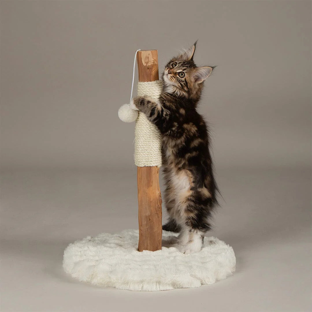 Alpine Andes 'My First' Cat Scratching Post - Cream