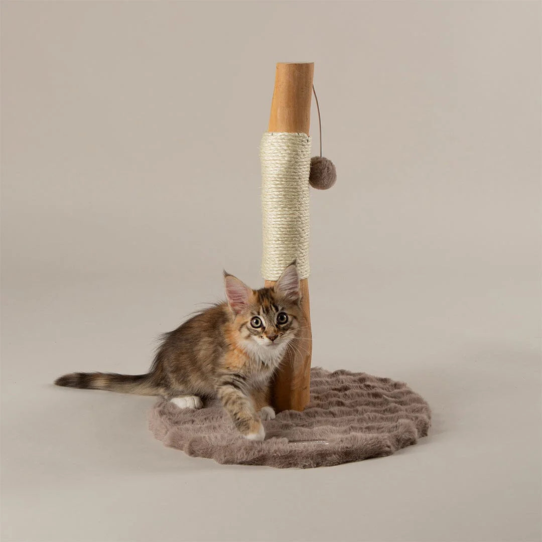 Alpine Andes 'My First' Cat Scratching Post - Taupe