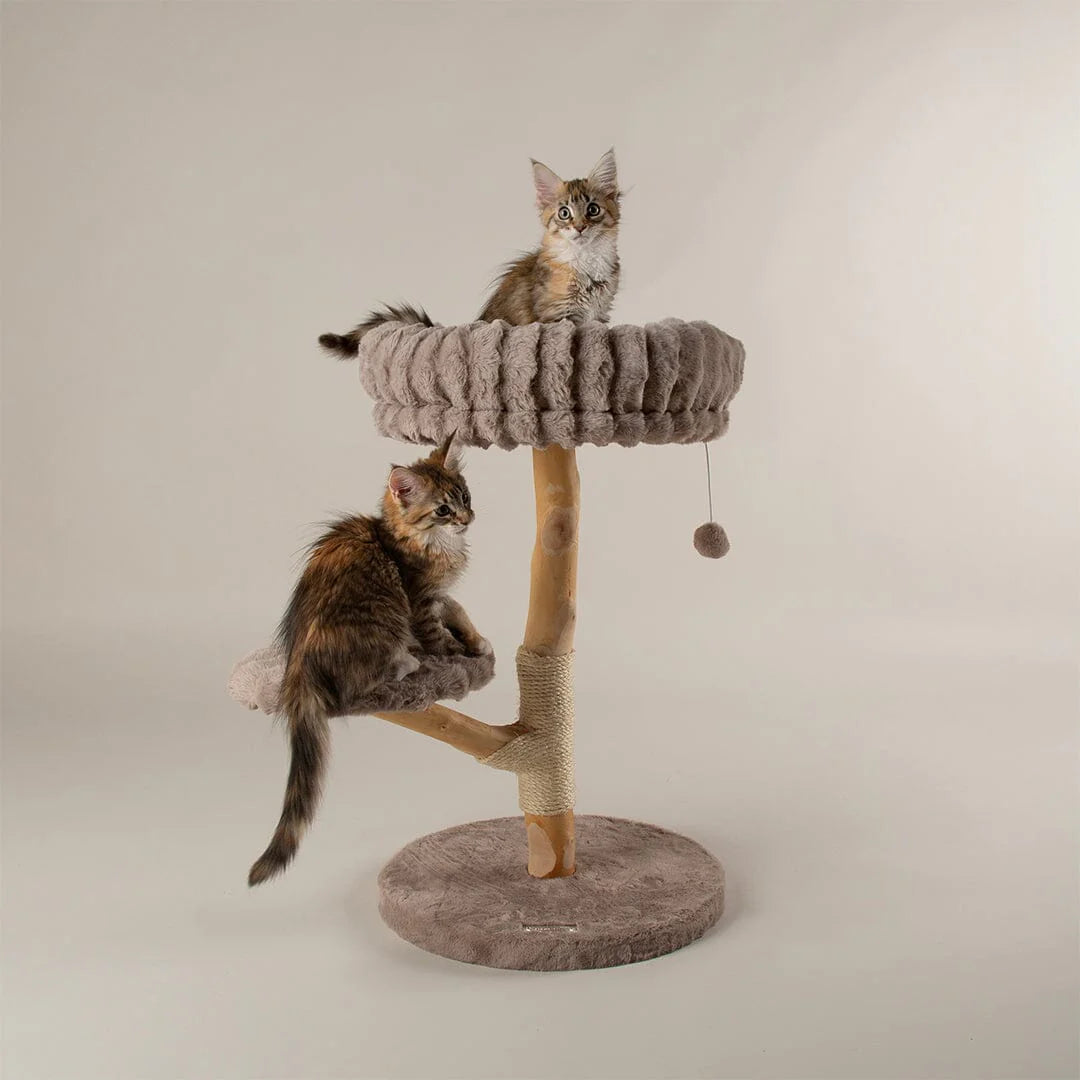Alpine Atlas Cat Tree - Taupe