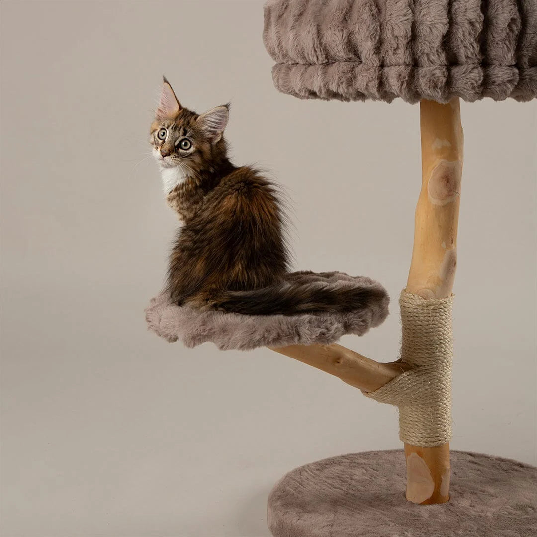 Alpine Atlas Cat Tree - Taupe