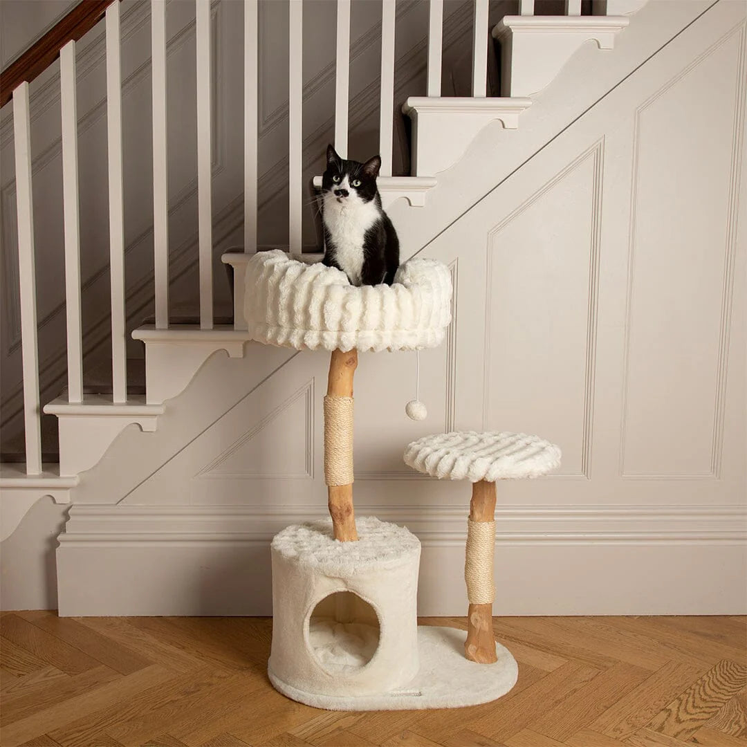 Alpine Colorado Cat Tree - Cream